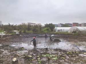 廊坊河道鱼塘清淤